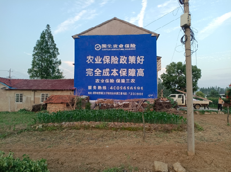 蒲城墙体广告为何受追捧?