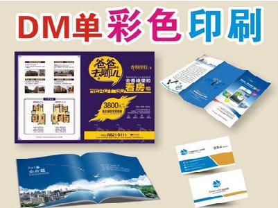 蒲城单页印刷,色彩搭配简单。